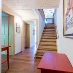 Luna * Wengen